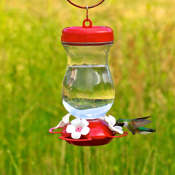 Perky Pet Top Fill Hummingbird Feeder & Reviews Wayfair
